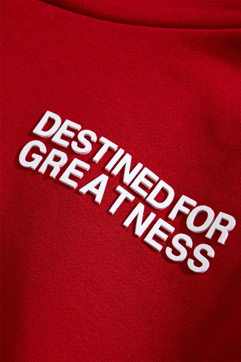 Kids Destined For Greatness Pullover Hoodie (2026 Edition) - Image 22