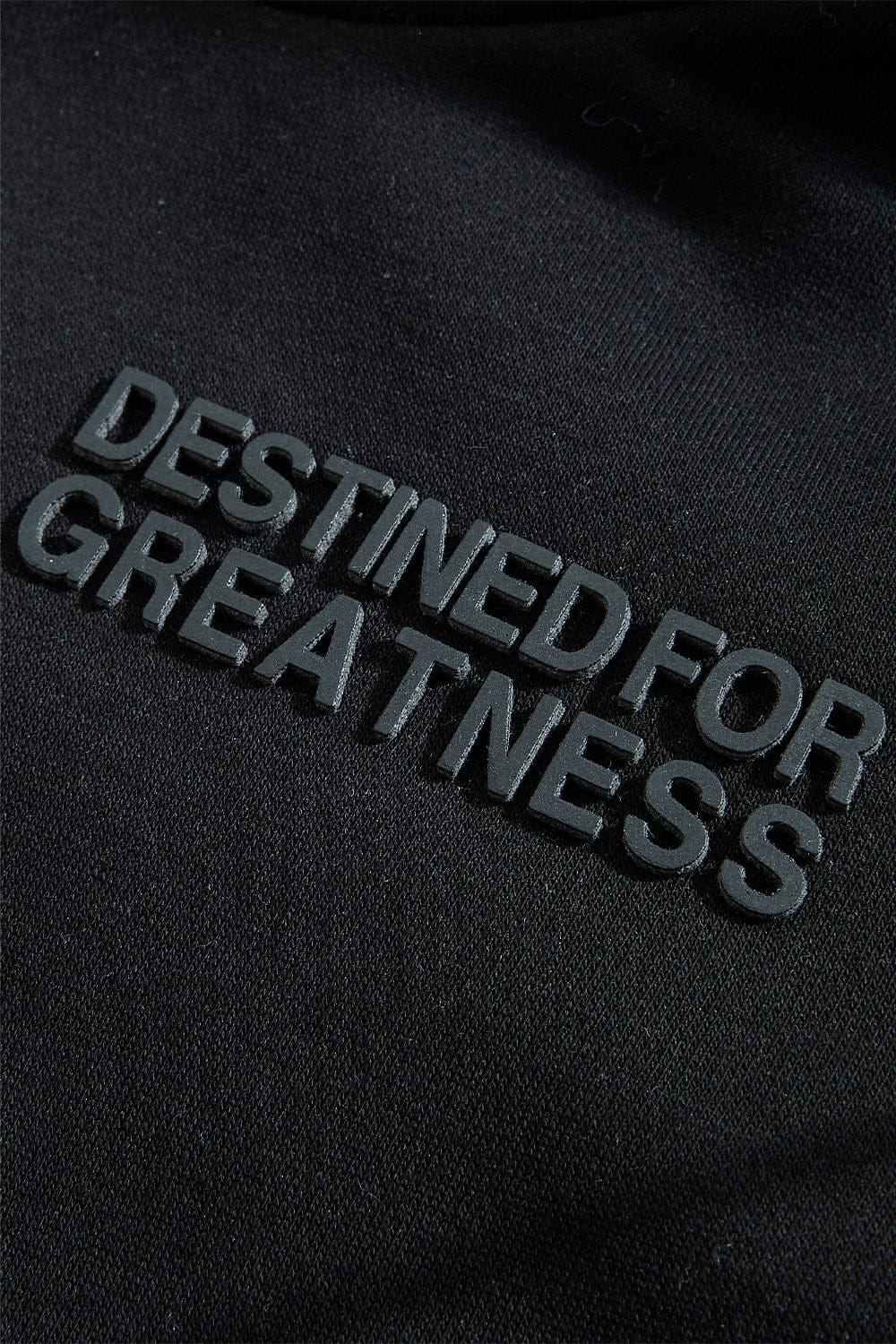 Kids Destined For Greatness Pullover Hoodie (2026 Edition) - Image 46