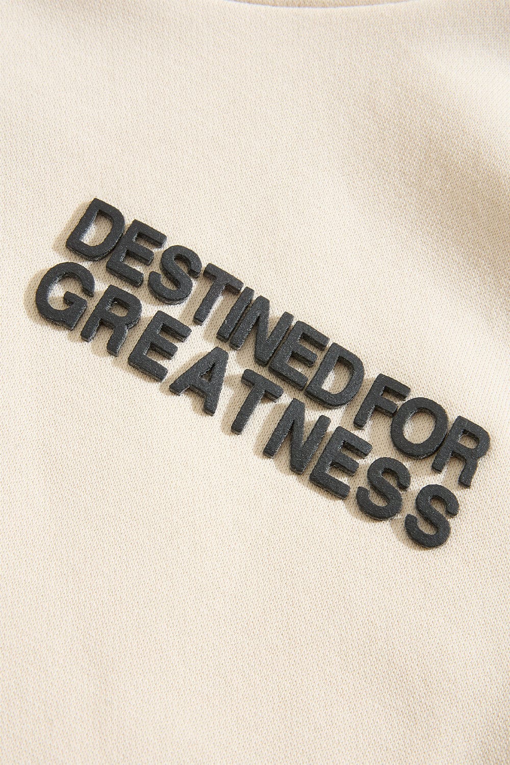 Kids Destined For Greatness Pullover Hoodie (2026 Edition) - Image 27