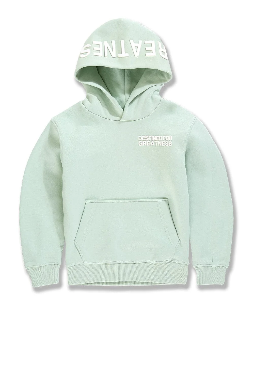 Kids Destined For Greatness Pullover Hoodie (2026 Edition) - Image 38
