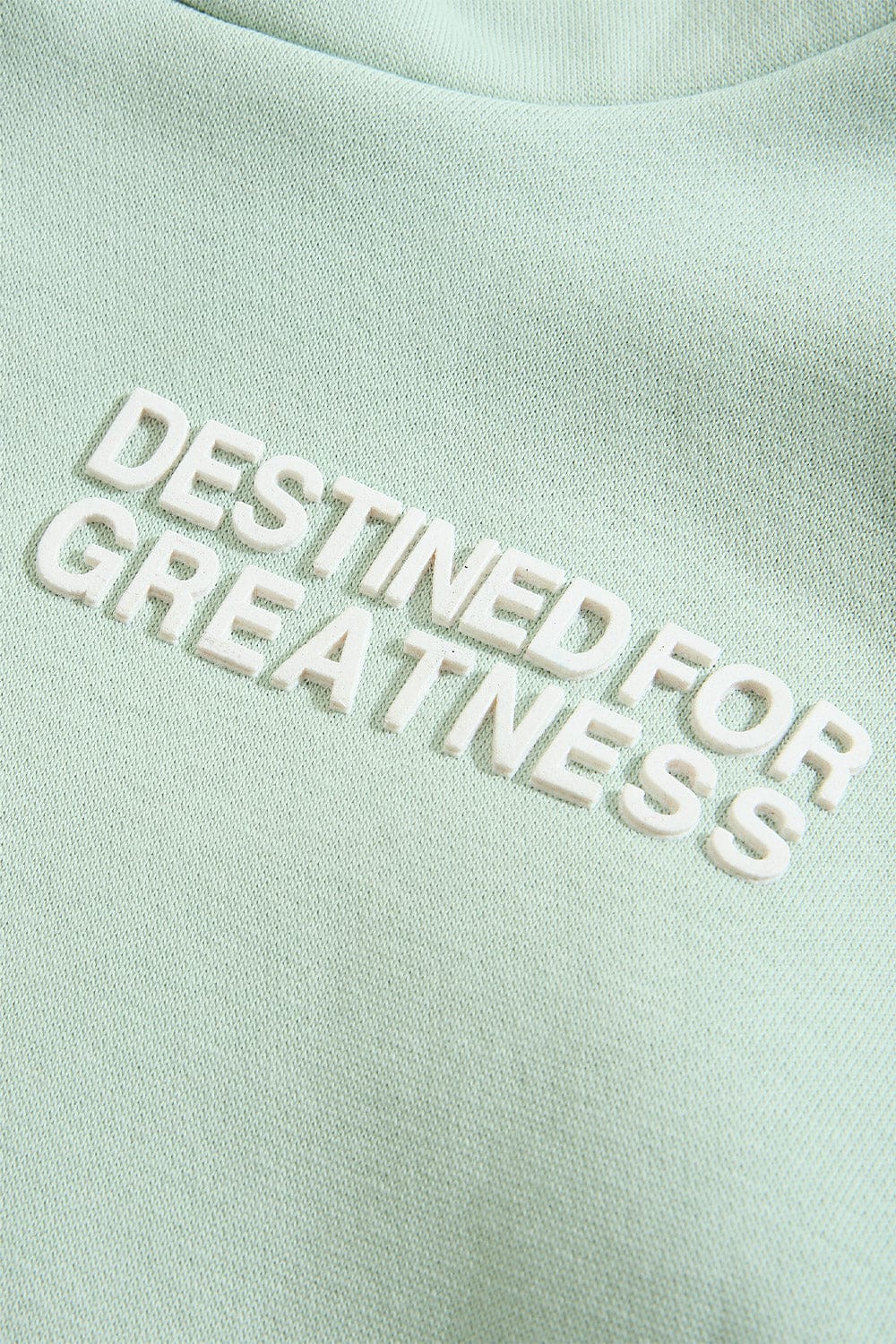 Kids Destined For Greatness Pullover Hoodie (2026 Edition) - Image 39