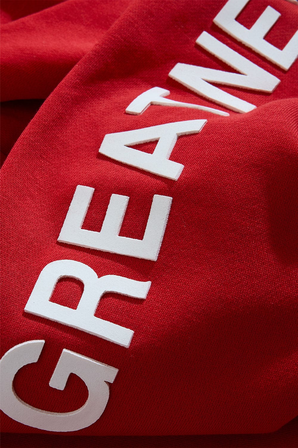 Kids Destined For Greatness Pullover Hoodie (2026 Edition) - Image 23